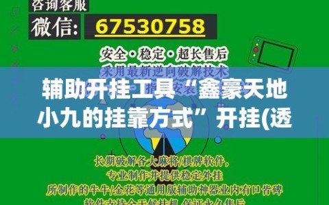 辅助开挂工具“鑫豪天地小九的挂靠方式”开挂(透视)最新辅助详细