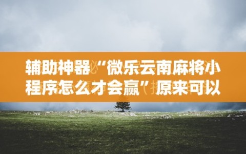 辅助神器“微乐云南麻将小程序怎么才会赢”原来可以开挂