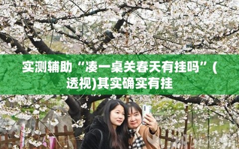 实测辅助“凑一桌关春天有挂吗”(透视)其实确实有挂