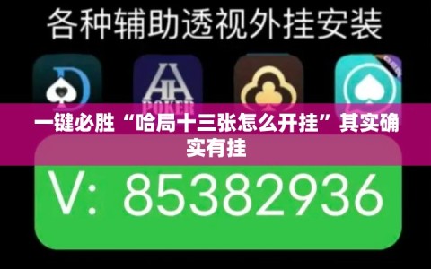一键必胜“哈局十三张怎么开挂”其实确实有挂