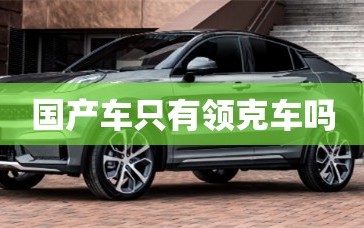 国产车只有领克车吗