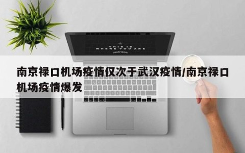 南京禄口机场疫情仅次于武汉疫情/南京禄口机场疫情爆发