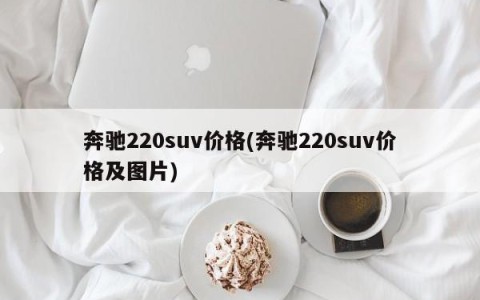 奔驰220suv价格(奔驰220suv价格及图片)