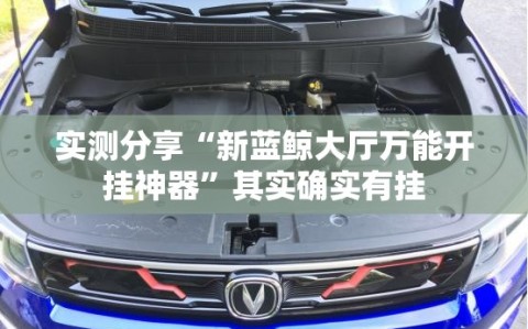 实测分享“新蓝鲸大厅万能开挂神器”其实确实有挂