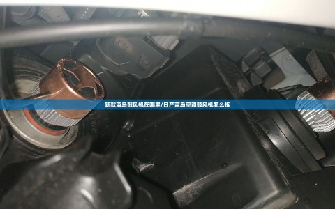新款蓝鸟鼓风机在哪里/日产蓝鸟空调鼓风机怎么拆