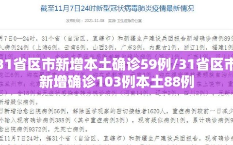 31省区市新增本土确诊59例/31省区市新增确诊103例本土88例