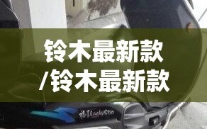 铃木最新款/铃木最新款125踏板摩托车