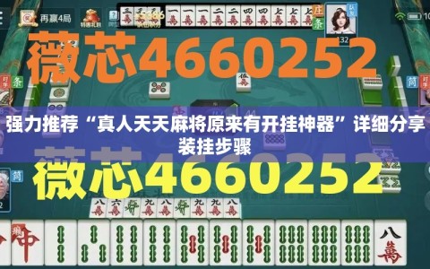 强力推荐“真人天天麻将原来有开挂神器”详细分享装挂步骤