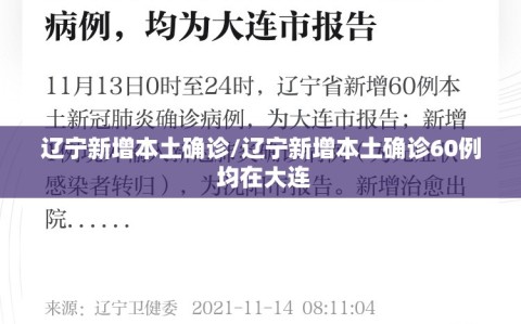 辽宁新增本土确诊/辽宁新增本土确诊60例 均在大连