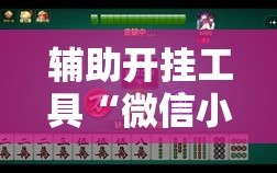 辅助开挂工具“微信小程序微乐麻将必赢神器”详细开挂教程
