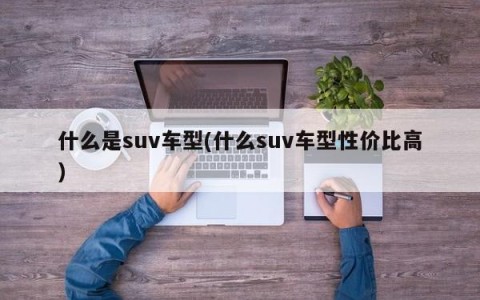 什么是suv车型(什么suv车型性价比高)