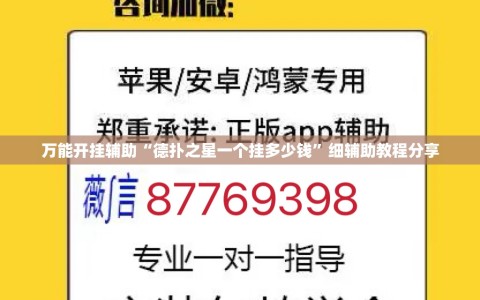 万能开挂辅助“德扑之星一个挂多少钱”细辅助教程分享