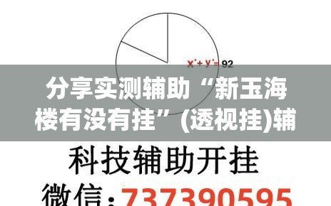 分享实测辅助“新玉海楼有没有挂”(透视挂)辅助下载教程