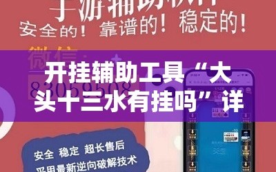 开挂辅助工具“大头十三水有挂吗”详细外挂透视辅助软件教程