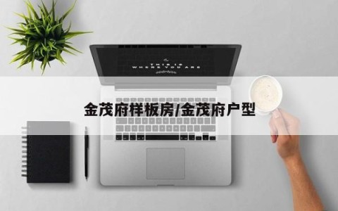 金茂府样板房/金茂府户型