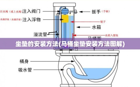 坐垫的安装方法(马桶坐垫安装方法图解)