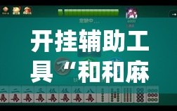 开挂辅助工具“和和麻将有没有挂”(透视挂)辅助下载教程