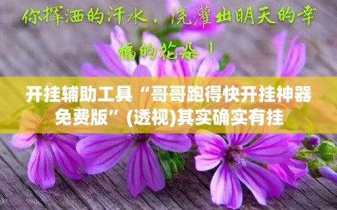 开挂辅助工具“哥哥跑得快开挂神器免费版”(透视)其实确实有挂