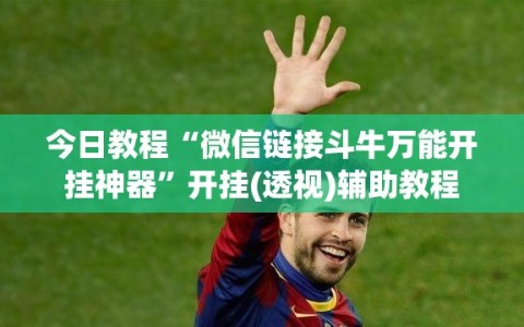 今日教程“微信链接斗牛万能开挂神器”开挂(透视)辅助教程