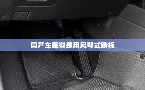国产车哪些是用风琴式踏板