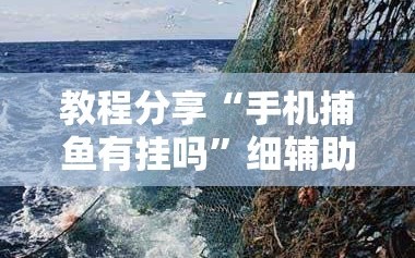 教程分享“手机捕鱼有挂吗”细辅助教程分享