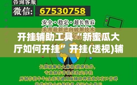 开挂辅助工具“新蜜瓜大厅如何开挂”开挂(透视)辅助教程