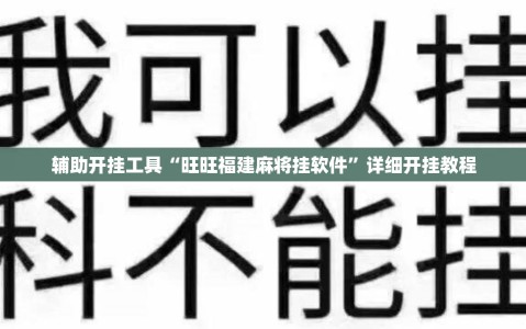 辅助开挂工具“旺旺福建麻将挂软件”详细开挂教程