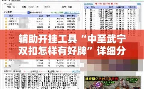 辅助开挂工具“中至武宁双扣怎样有好牌”详细分享装挂步骤