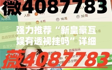 强力推荐“新皇豪互娱有透视挂吗”详细分享装挂步骤