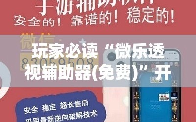 玩家必读“微乐透视辅助器(免费)”开挂辅助脚本+详细开挂安装教程