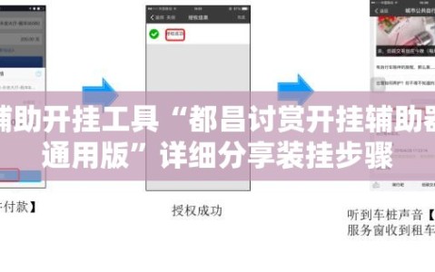 辅助开挂工具“都昌讨赏开挂辅助器通用版”详细分享装挂步骤