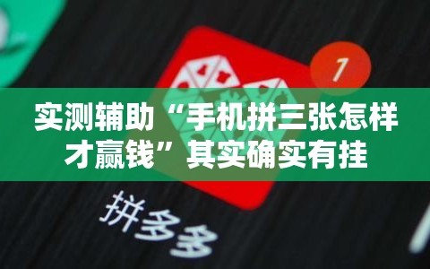 实测辅助“手机拼三张怎样才赢钱”其实确实有挂