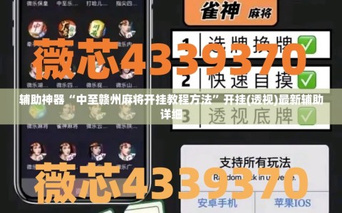 辅助神器“中至赣州麻将开挂教程方法”开挂(透视)最新辅助详细
