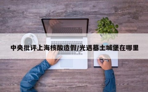 中央批评上海核酸造假/光遇墓土城堡在哪里