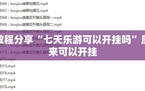 教程分享“七天乐游可以开挂吗”原来可以开挂