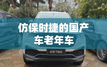 仿保时捷的国产车老年车