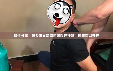 软件分享“越乡游义乌麻将可以开挂吗”原来可以开挂