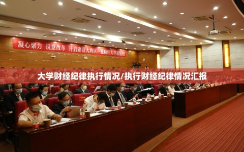大学财经纪律执行情况/执行财经纪律情况汇报