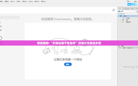 教程辅助!“天娱扯胡子有挂吗”详细分享装挂步骤