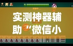 实测神器辅助“微信小程序微乐麻将开挂教程”(透视)其实确实有挂