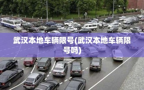 武汉本地车辆限号(武汉本地车辆限号吗)