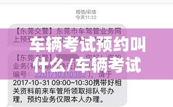 车辆考试预约叫什么/车辆考试预约叫什么单位
