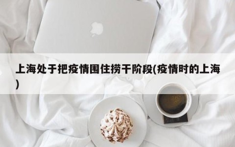 上海处于把疫情围住捞干阶段(疫情时的上海)