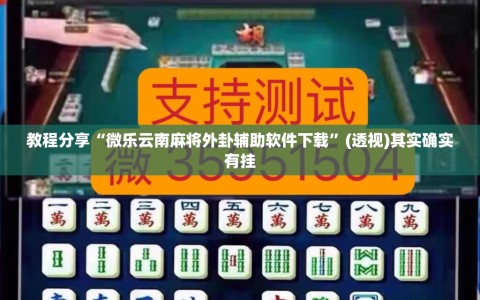 教程分享“微乐云南麻将外卦辅助软件下载”(透视)其实确实有挂