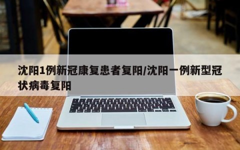 沈阳1例新冠康复患者复阳/沈阳一例新型冠状病毒复阳