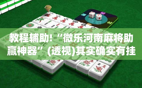 教程辅助!“微乐河南麻将助赢神器”(透视)其实确实有挂