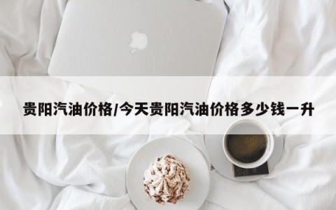 贵阳汽油价格/今天贵阳汽油价格多少钱一升