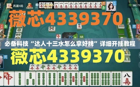 必备科技“达人十三水怎么拿好牌”详细开挂教程