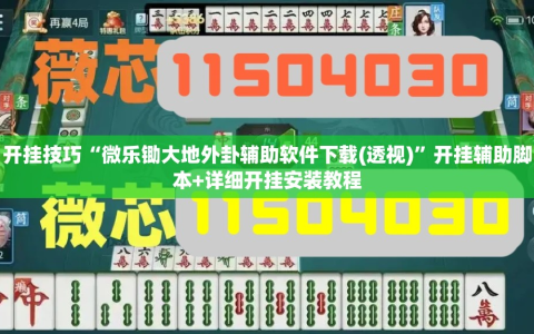 开挂技巧“微乐锄大地外卦辅助软件下载(透视)”开挂辅助脚本+详细开挂安装教程