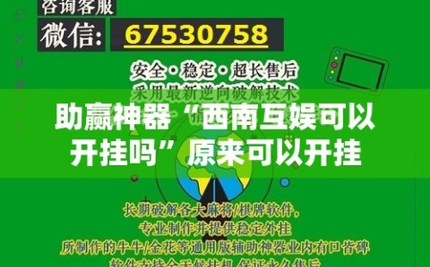 助赢神器“西南互娱可以开挂吗”原来可以开挂